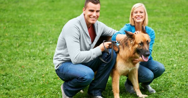 Petdardas Com Responsible Pet Ownership